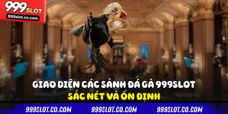 Giao diện các sảnh Đá gà 999slot sắc nét và ổn định
